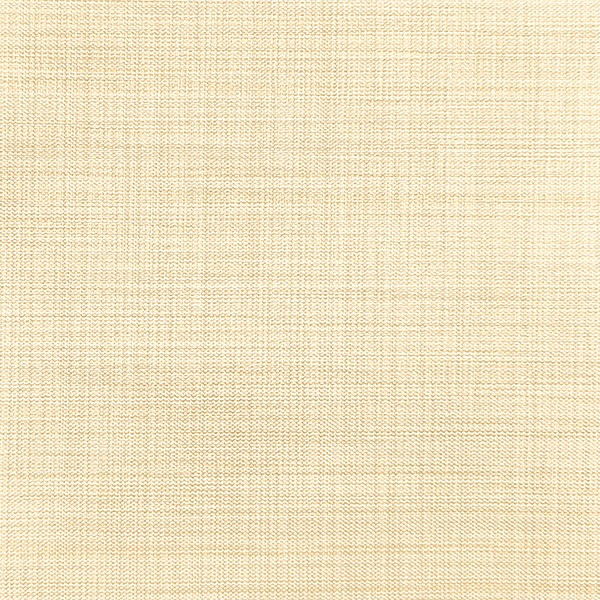 Ткань для рулонных штор Benone 7858 - изображение 1 - заказать онлайн в салоне штор Benone в Солнечногорске